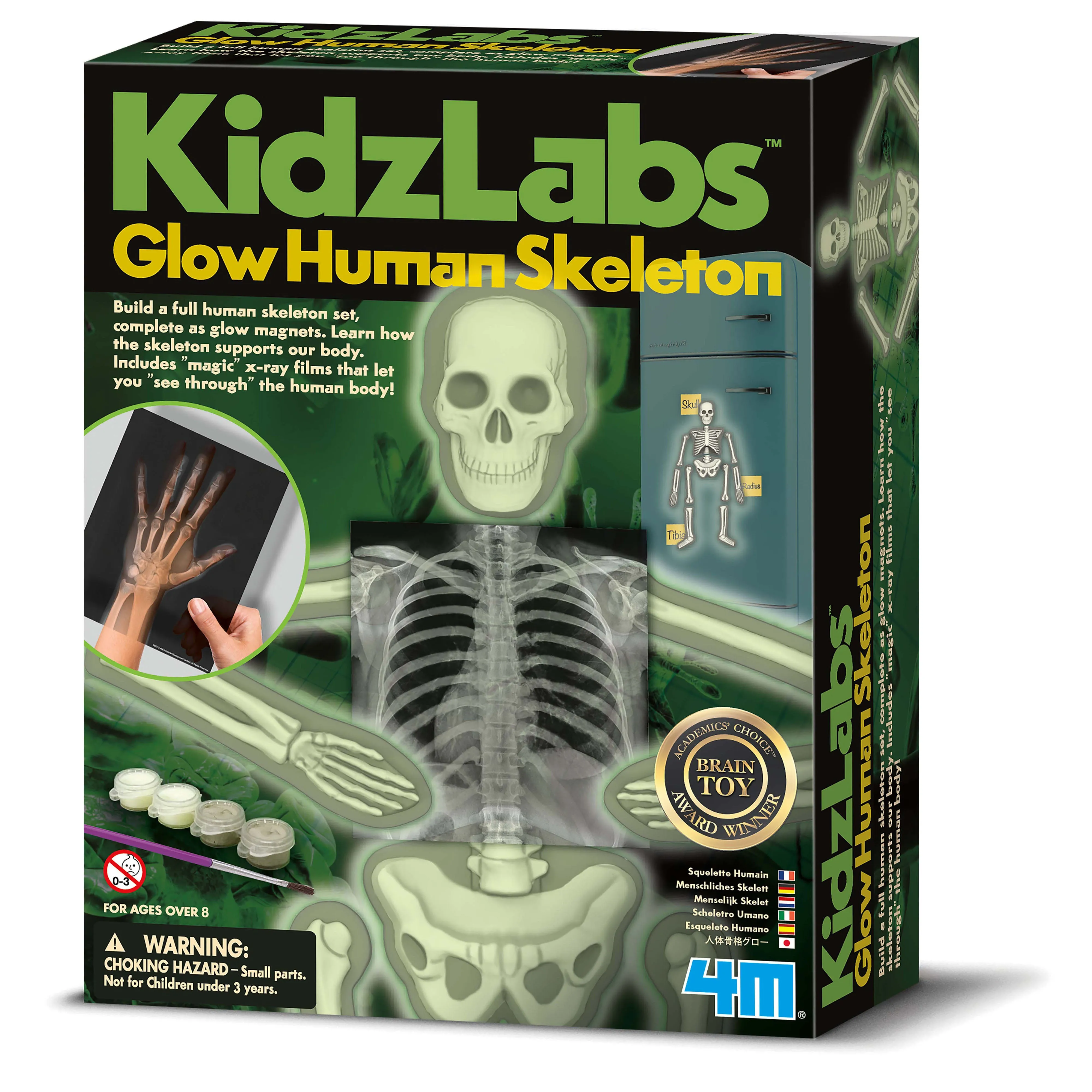 4M Kidz Labs / Glow Human Skeleton