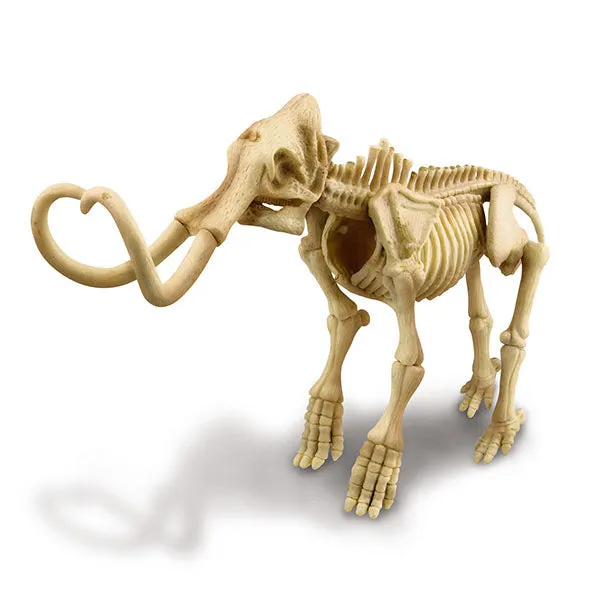 4M Kidz Labs / Mammoth Skeleton