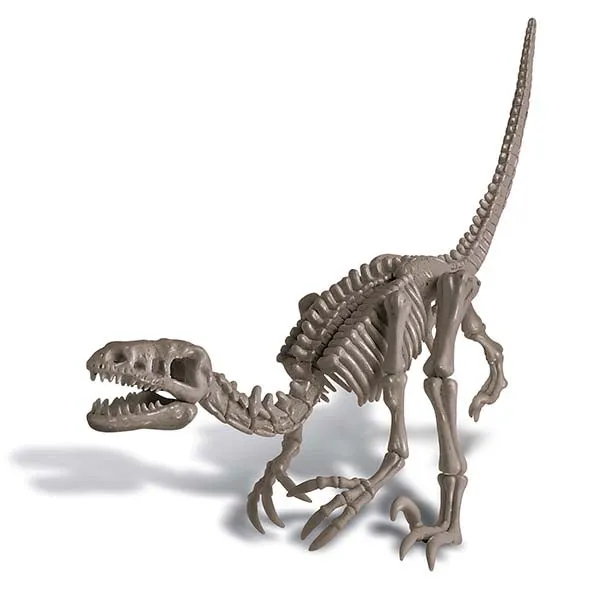 4M Kidz Labs / Velociraptor Sk'ton Excav Kit