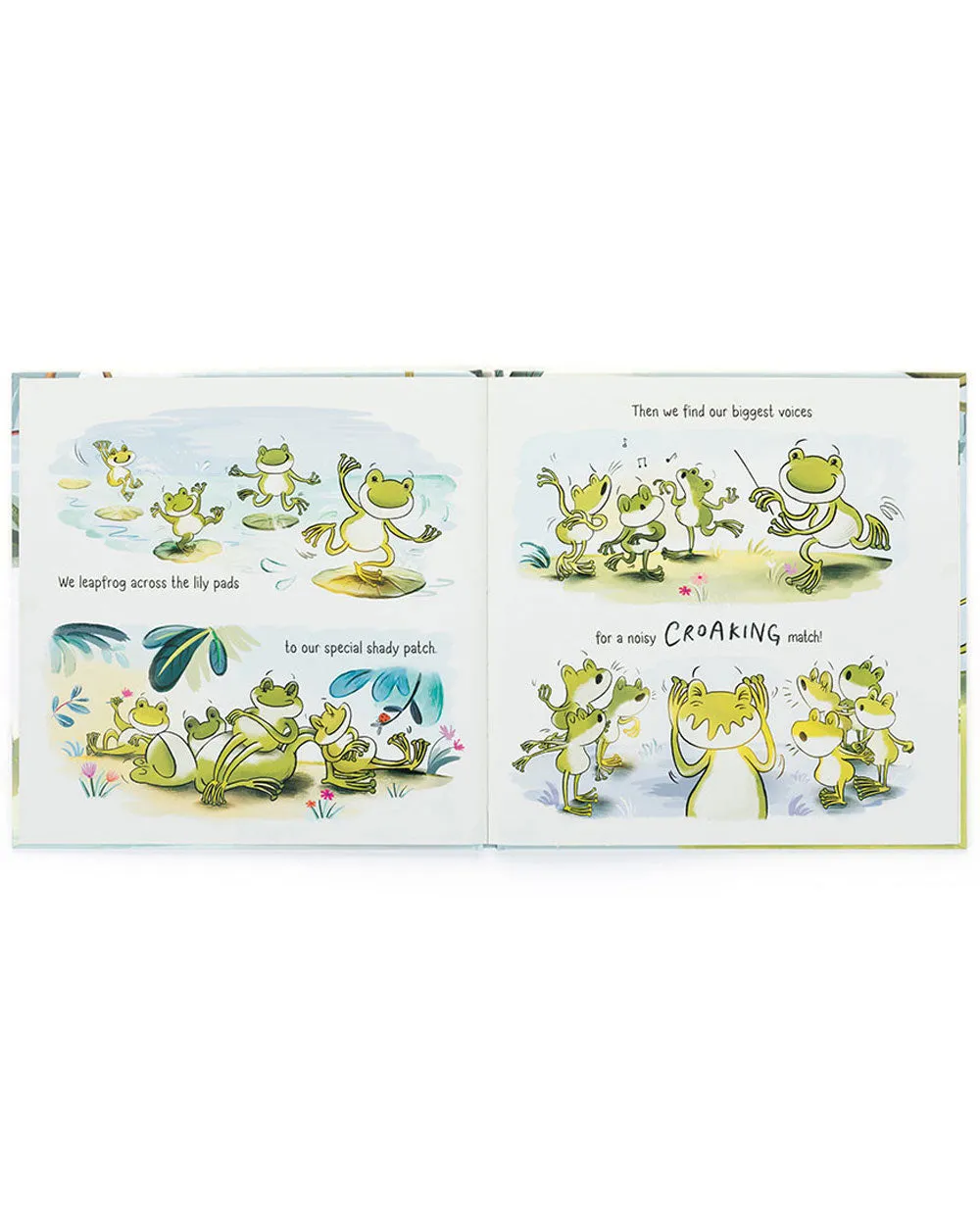 A Fantastic Day for Finnegan Frog Book