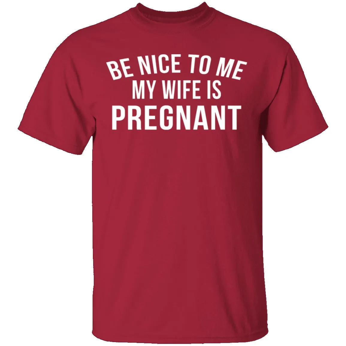 Be Nice My Wife Is Pregnant T-Shirt