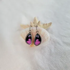 Beautiful Real Butterfly Wings and Sterling Silver Earrings