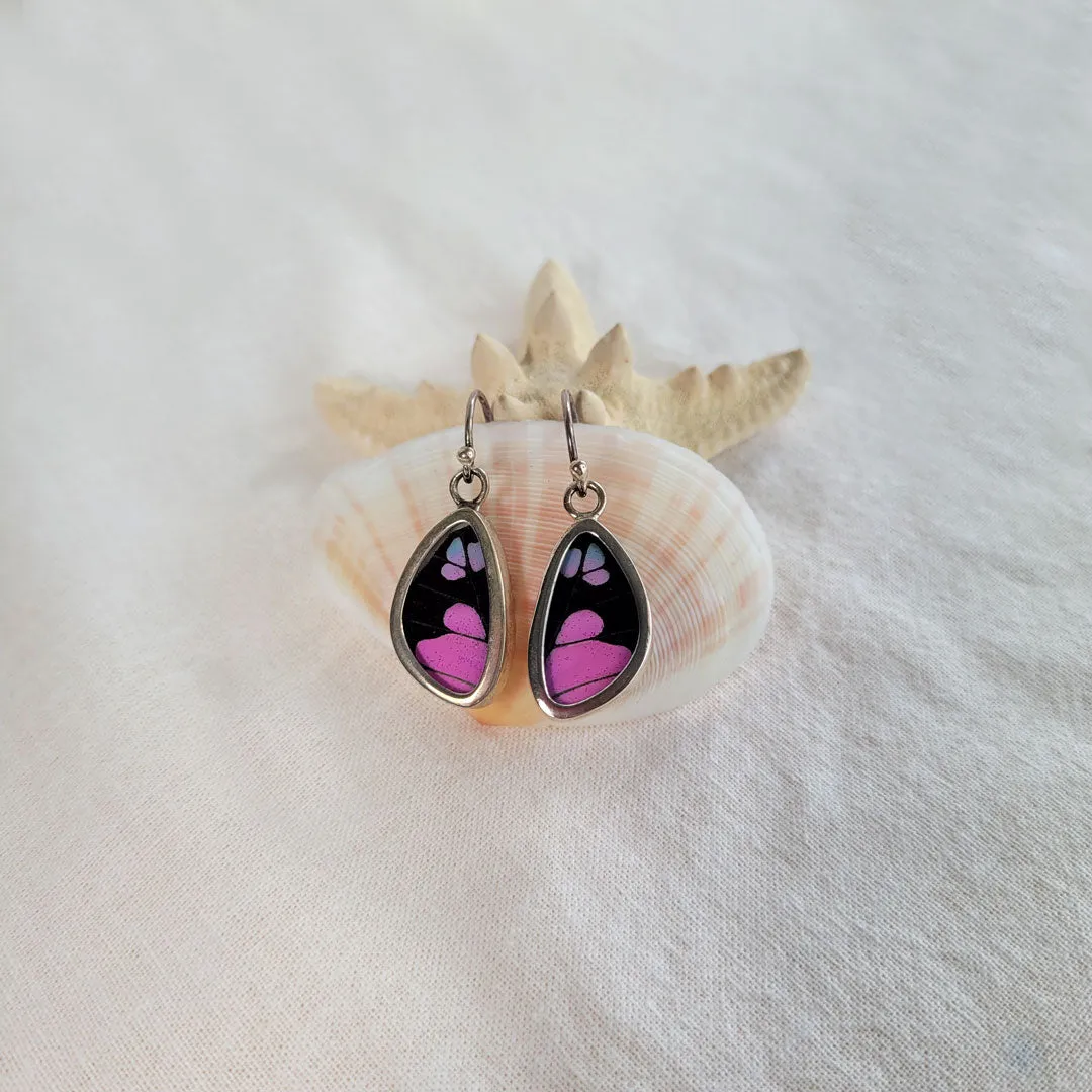 Beautiful Real Butterfly Wings and Sterling Silver Earrings