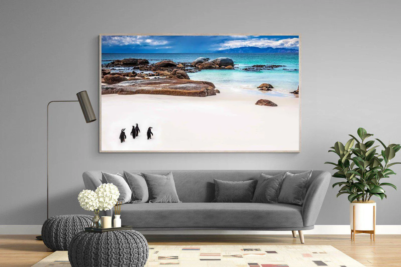 Cape Penguins