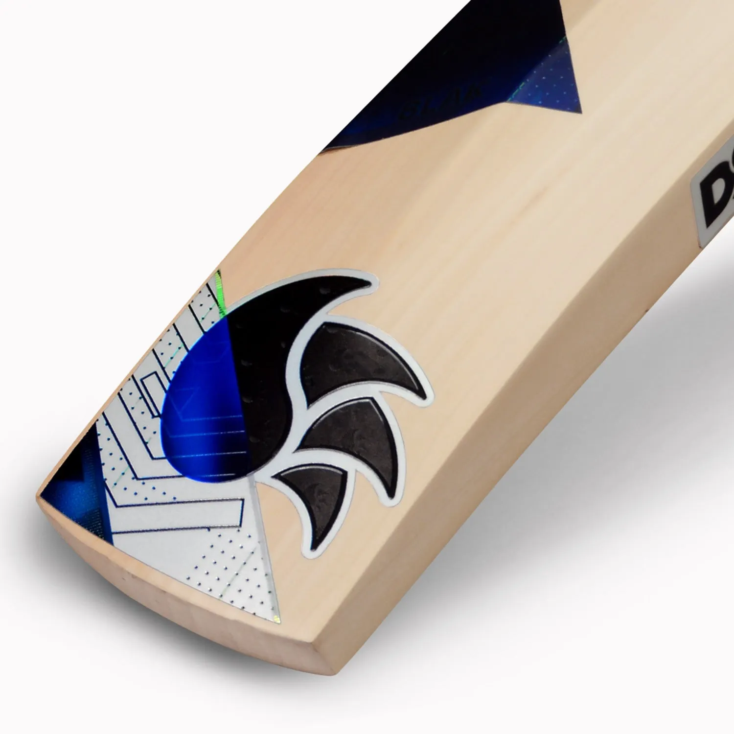 DSC BLAK Pro Cricket Bat