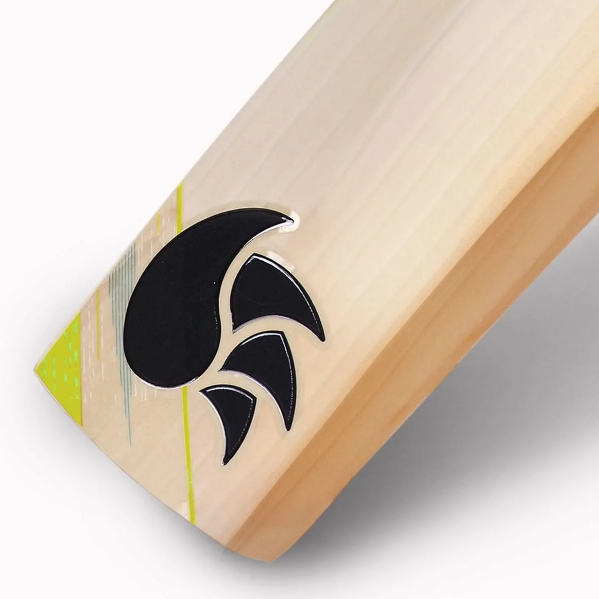 DSC Condor Flite Adult Cricket Bat