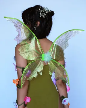 Floating Around Fairy Wings