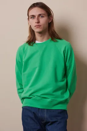 Men's Raglan Sweatshirt - Apple Green