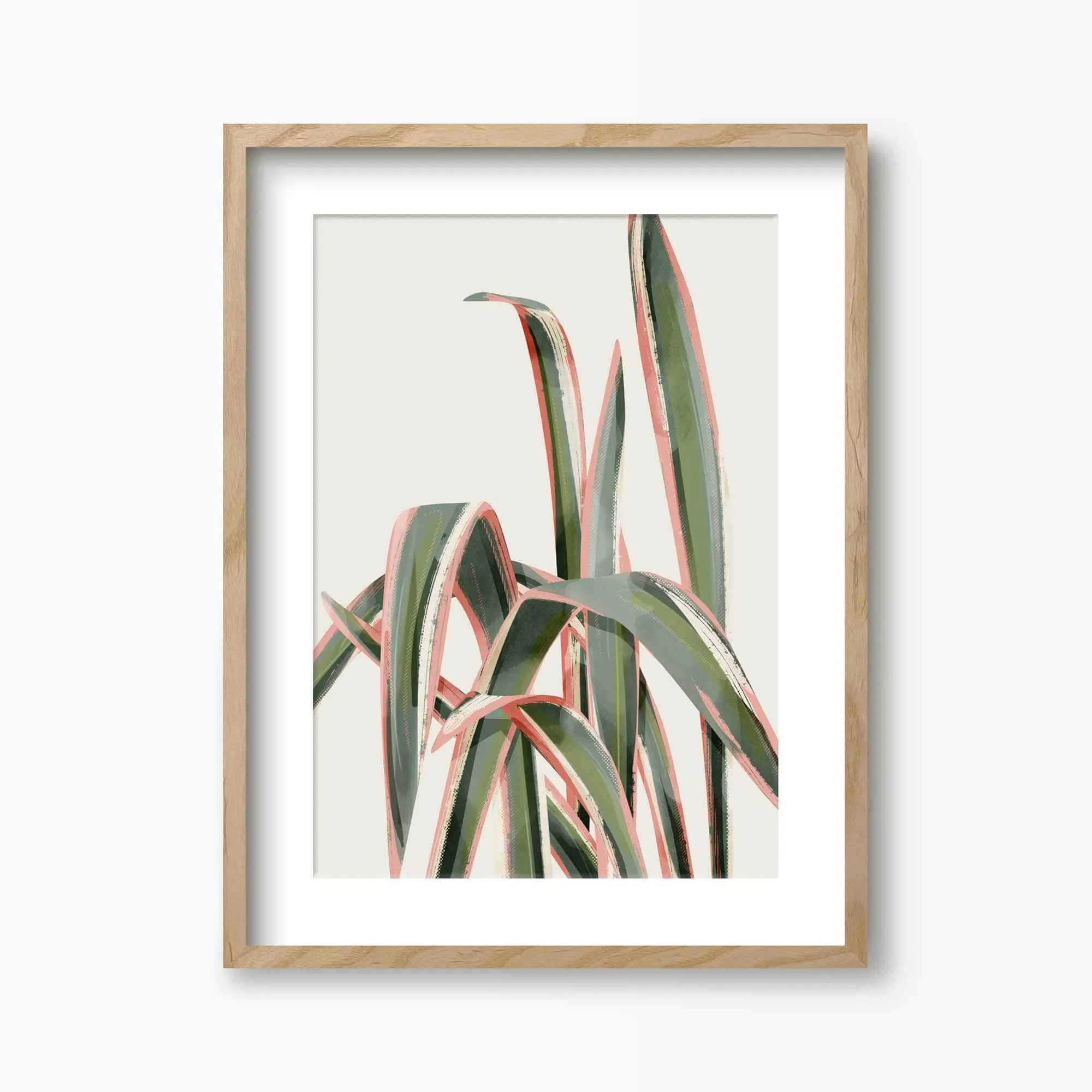 Pink Spider Plant Art Print