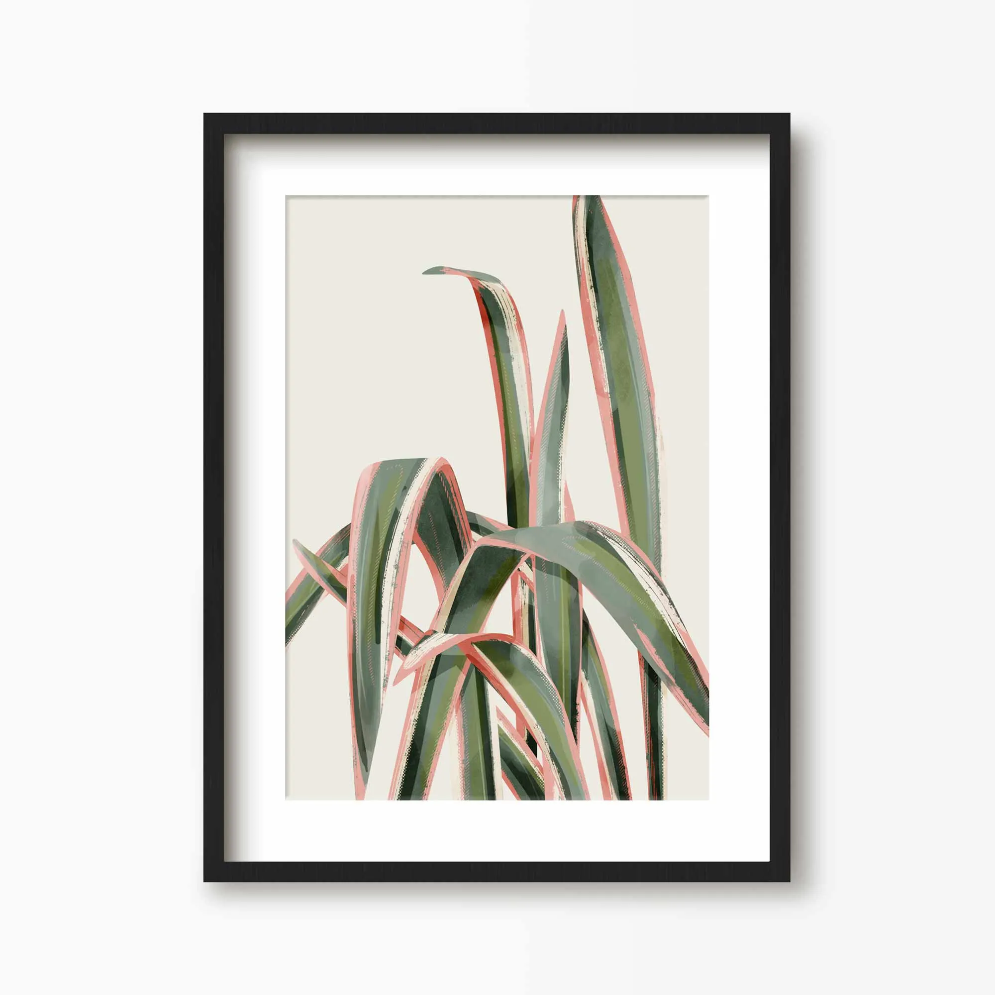 Pink Spider Plant Art Print