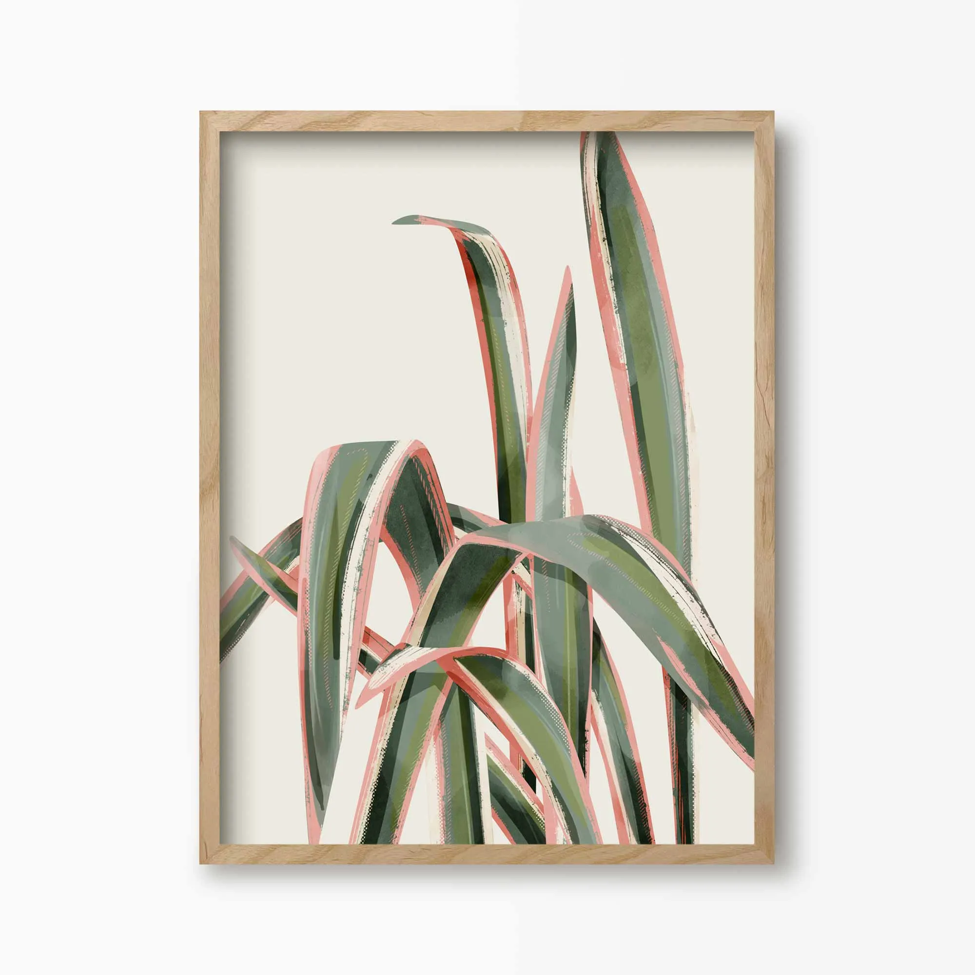 Pink Spider Plant Art Print