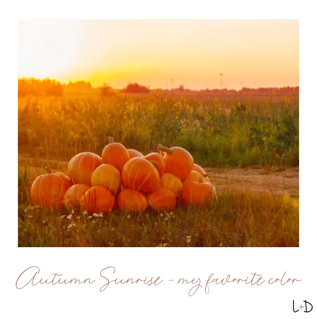 Pumpkin Harvest Stretch Bracelet