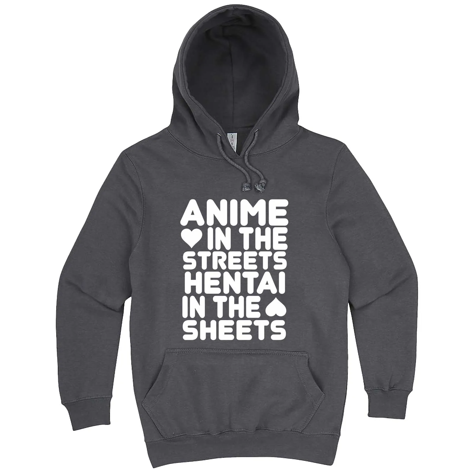 "Anime in the Streets, Hentai in the Sheets" hoodie